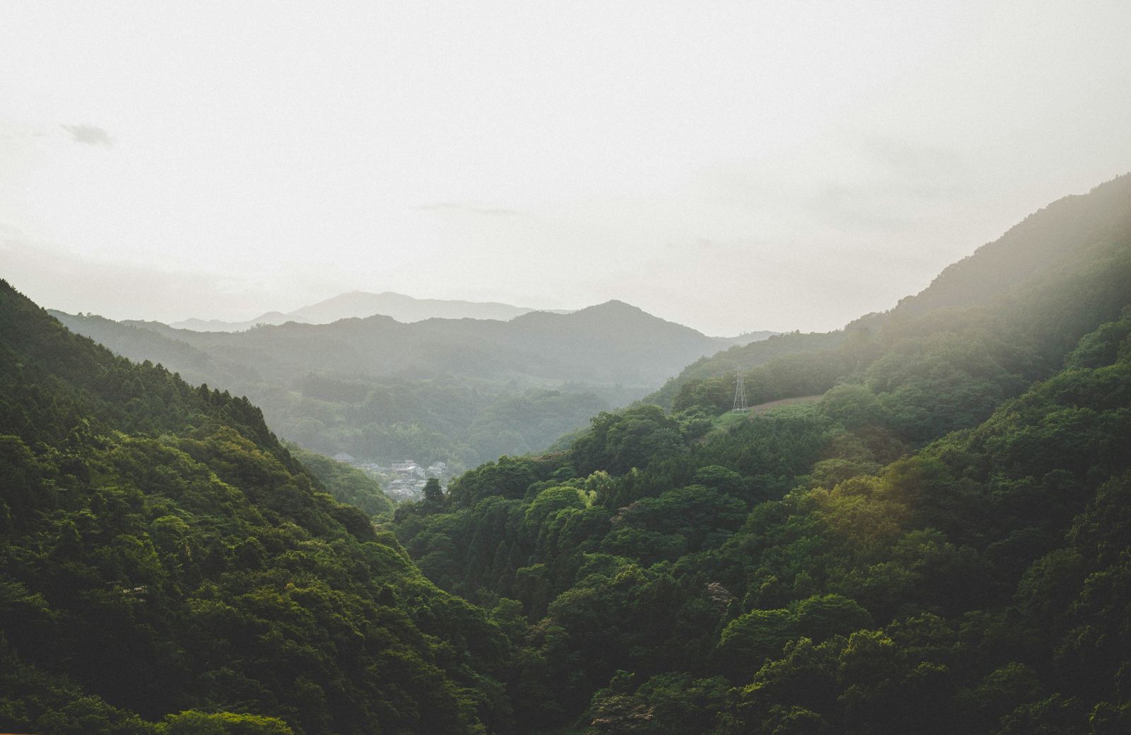 朝もやのかかる日本の山あいの集落